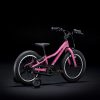 Велосипед 16″ Trek Precaliber Girls CB 16 PK Pink 2021 8488