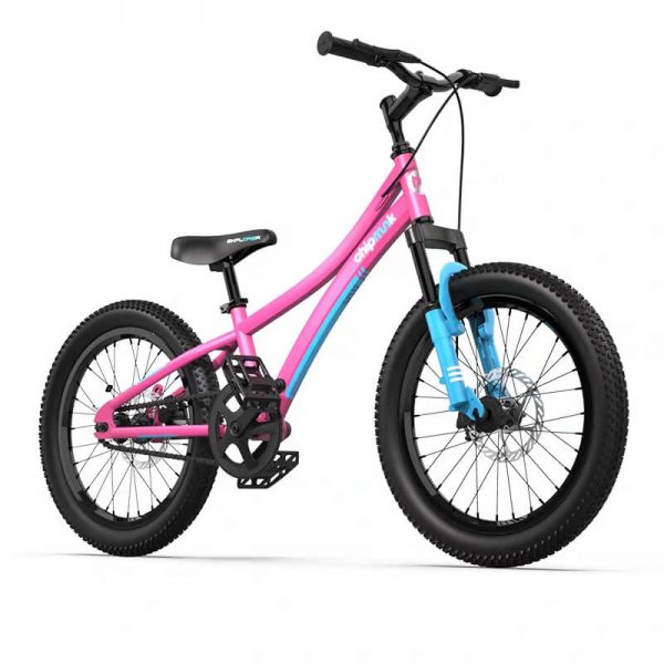 Велосипед детский RoyalBaby Chipmunk Explorer 20″ розовый