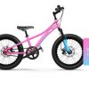Велосипед дитячий RoyalBaby Chipmunk Explorer 20″ Рожевий 11038