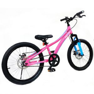Велосипед детский RoyalBaby Chipmunk Explorer 20″ розовый