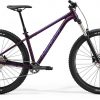 Велосипед 29″ Merida Big.Trail 400 2021