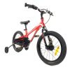 Велосипед 16″ RoyalBaby Chipmunk Moon Economic MG, Official UA 2021 22403