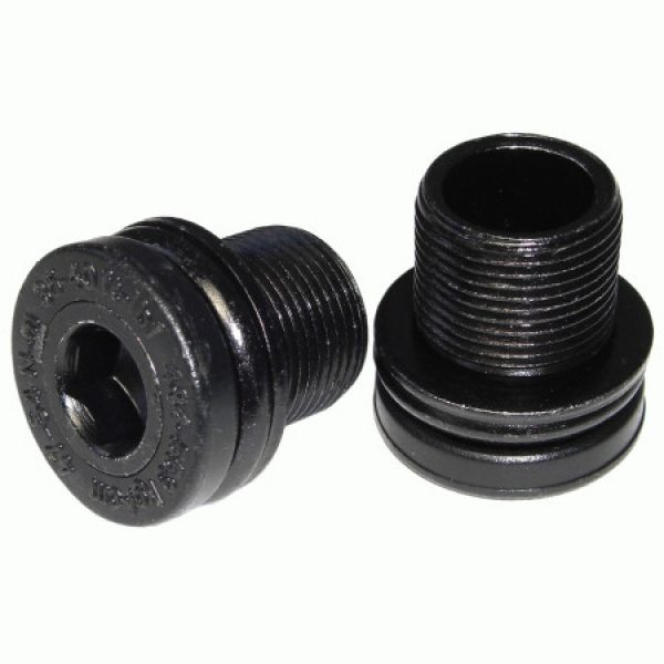 Болт для шатунов Sram Crank Arm Bolt M15 Capless ISIS QTY 2