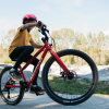 Велосипед 24″ Norco Storm 24 Disc 2023 57876