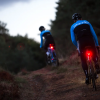 Мигалка задняя Bontrager Flare RT USB 66272