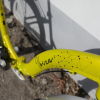 Велосипед 24″ Winner Ibiza 2024 67056