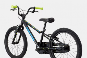 Велосипед 20″ Cannondale Trail FW OS 2023