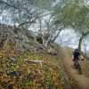 Велосипед 29″ Marin Bobcat Trail 5 2023 69773
