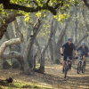 Велосипед 29″ Marin Bobcat Trail 5 2023 69772