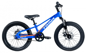 Велосипед 20″ Trinx Seals 1.0 2023