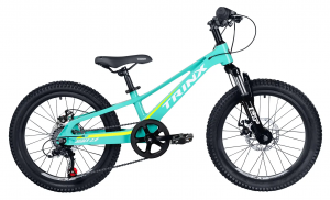 Велосипед 20″ Trinx Seals 2.0 2023