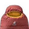 Спальник Deuter Astro 300 L Redwood-curry лівий 95335