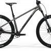 Велосипед 29″ Merida Big.Trail 500 2025