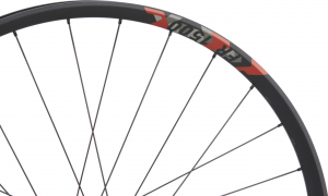 Колесо заднее 29″ DT Swiss FR 1500 Classic IS 30 12/148 ASRAM