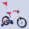 Велосипед 16″ Formula Race BH 2025 121343