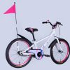 Велосипед 20″ Formula Race BH 2025 121375