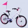 Велосипед 20″ Formula Race BH 2025 121378