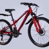 Велосипед 24″ Formula Blackwood 1.0 DD FR 2025 120877