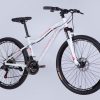 Велосипед 26″ Formula Alpina DD FR 2025 120973