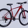 Велосипед 29″ Formula Zephyr 3.0 DD CS 2025 121255