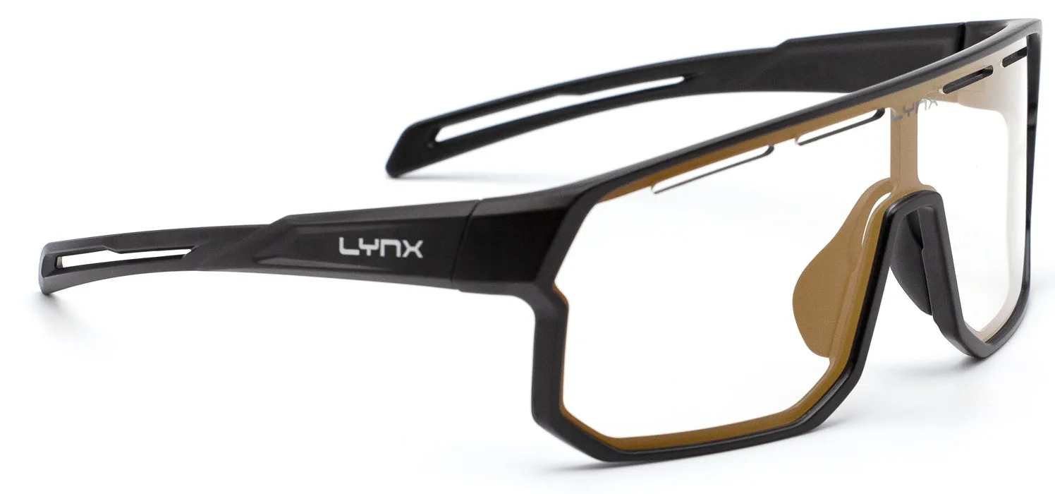 Очки Lynx Bismarck PH B с фотохромной линзой (Cat. 1-3) matt Black1/Smoke with Gold Revo