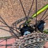 БУ Велосипед 28″ Merida Silex 400 M Green 2024 129824